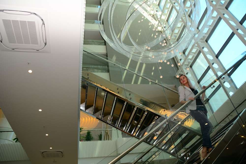 Pokaż wszystkie zdjęcia