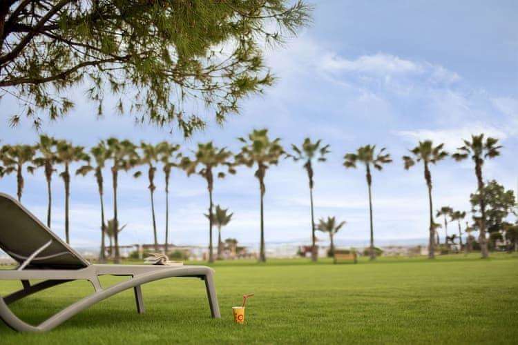 Pokaż wszystkie zdjęcia