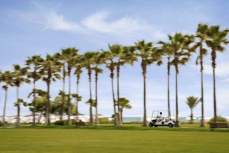 Lara Barut Collection 4