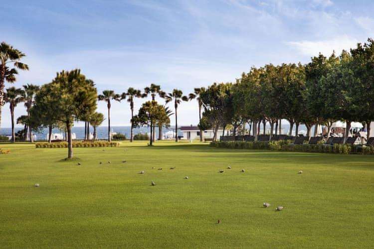 Lara Barut Collection 5