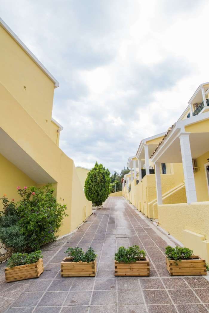 Pokaż wszystkie zdjęcia