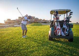 Pokaż wszystkie zdjęcia