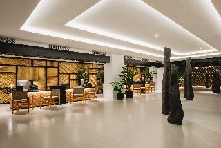 Pokaż wszystkie zdjęcia