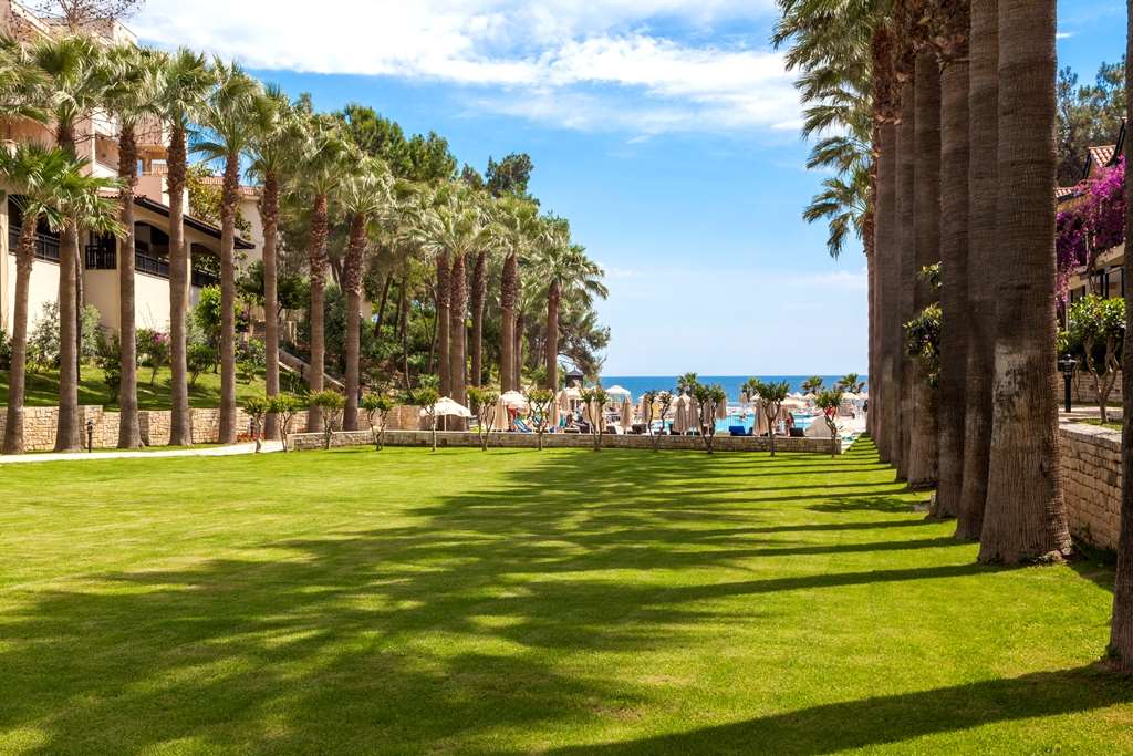 Pokaż wszystkie zdjęcia