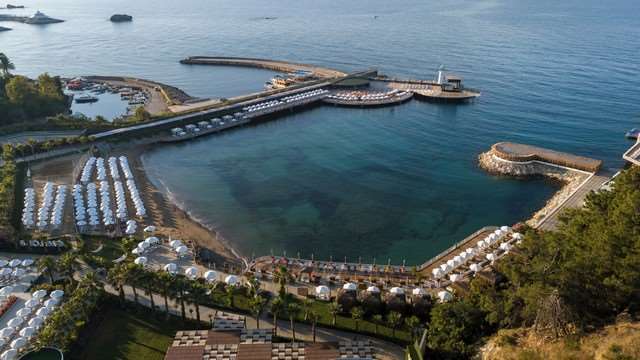 Pokaż wszystkie zdjęcia