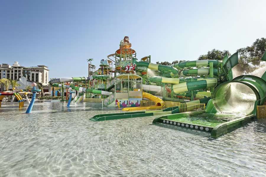 Pokaż wszystkie zdjęcia