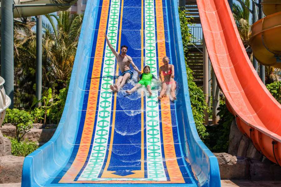 Pokaż wszystkie zdjęcia