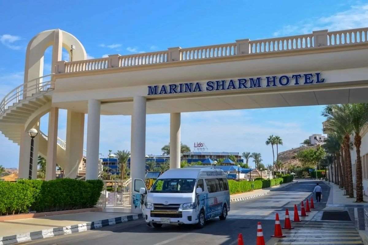 Pokaż wszystkie zdjęcia