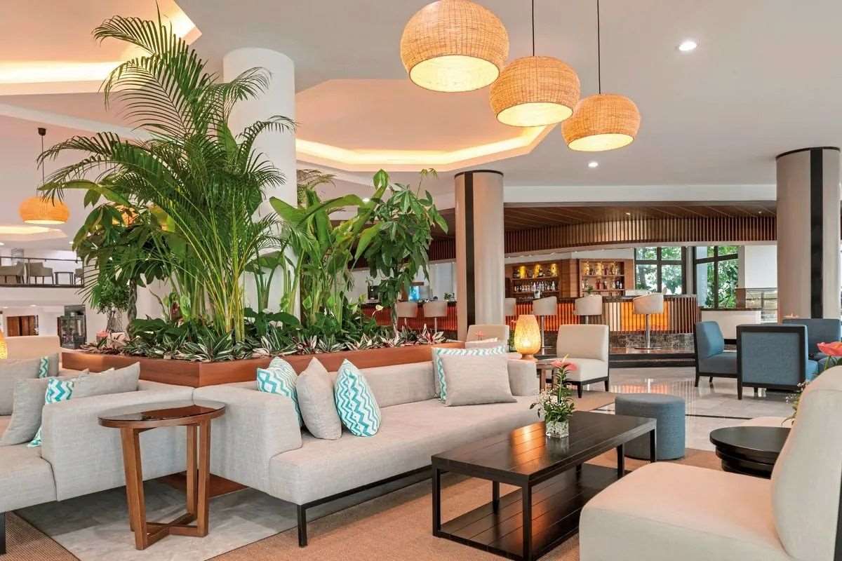 Pokaż wszystkie zdjęcia