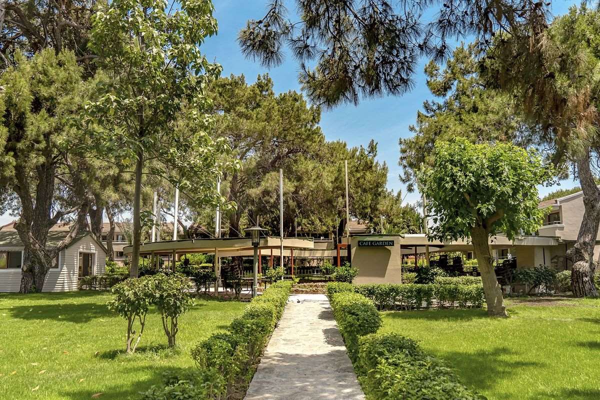 Master Family Club 4